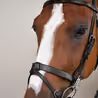 Uzdečka Dy'on Flat Leather Bridle With Snap Hooks WOJOGJ