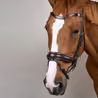 Uzdečka Dy'on Matte Large Crank Noseband Bridle With Flash WODCAM
