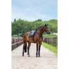 Podsedlová dečka Equestrian Stockholm Satin Sycamore Green Kolekce 2026/27