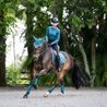 Podsedlová dečka Equestrian Stockholm Teal blue Kolekce 2025/26