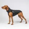 Deka na psa Back On Track BARK Base Layer 3247