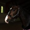 Ohlávka Equestrian Stockholm Anatomic Fleece Black blush Kolekce 2026/27