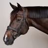 Uzdečka Dy'on Anatomic Flash Noseband USABAB
