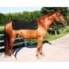 Deka Back on Track Horseback Warmer 100x120 2100 DOPRODEJ
