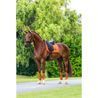 Podsedlová dečka Equestrian Stockholm Satin Chestnut Kolekce 2026/27