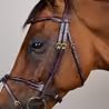Uzdečka Dy'on Braided Flash Noseband DYARAY