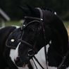 Čabraka na uši Equestrian Stockholm Black Gold KOLEKCE 2023