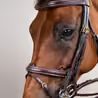Uzda Dy'on Flash Noseband Double DYLAAA