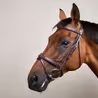 Uzdečka Dy'on Flash Noseband DYAAAA