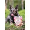Pamlsek Carnilove Dog Crunchy Snack 200g