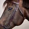 Uzdečka Dy'on Adjustable Drop Noseband NEAAAE