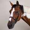Uzdečka Dy'on Cavesson Hunter Noseband USKOAK