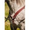 *W* Uzdečka a poprsník Cassini Stitch