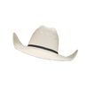 *W* Klobouk Ariat® 10X 2 Cord Blk Diamond Straw