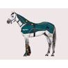 BEMER Horse-Set Premium