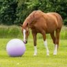 Míč na hraní QHP Horse Football 75 cm