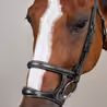 Uzdečka Dy'on Double Noseband USAAAH