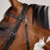 Uzdečka Dy'on Flat Leather Bridle With Snap Hooks WOJOGJ