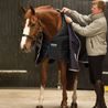 Deka Horseware Liner 100g