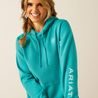 *W* Mikina Ariat® WMS Logo 2.0 Hoodie dámská KOLEKCE 2026