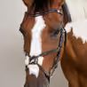 Uzdečka Dy'on Figure 8 Noseband Bridle WOAQHC