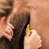 Zastřihovač chloupků Horse Athlere Smar Grooming Equi-Shave