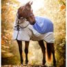 Deka výběhová Horseware Rambo Autumn Series Turnout Disc 0g+100g