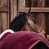 Deka Kentucky fleece Show rug Heavy