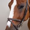 Uzdečka Dy'on Flash Noseband Bridle with Snap Cheekpieces WOAPGB