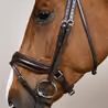 Uzdečka Dy'on Matte Large Crank Noseband Bridle With Flash WODCAM