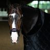 Ohlávka Equestrian Stockholm Anatomic Fleece