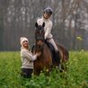 Čepice Cavallo Cavalduni Kolekce 2026/27