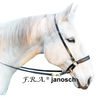 Bezudidlová uzdečka F.R.A. Janosh
