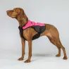 Vesta na psa Back On Track TRAKK 2.0 Visibility Dog Chest Guard 3248