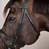 Uzdečka Dy'on Anatomic Flash Noseband USABAB