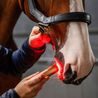 Svítilna set Horseware® LED Red Light Therapy Wand