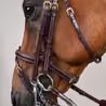 Uzda Dy'on Flash Noseband Double DYLAAA