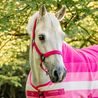 Ohlávka s vodítkem Horseware Newmarket
