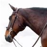 Uzdečka CWD Hackamore BR20HAC
