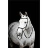 Uzdečka Horseware Micklem Bitless