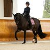 Čabraka na uši Equestrian Stockholm Pink Glimmer Kolekce 2026/27