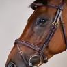 Uzdečka Dy'on Plaited Flash Noseband DYAOAK
