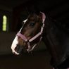 Ohlávka Equestrian Stockholm Anatomic Fleece Blush Kolekce 2026/27