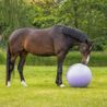 Míč na hraní QHP Horse Football 75 cm