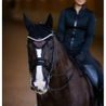 Čabraka na uši Equestrian Stockholm Mahogany Glimmer Kolekce