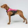 Vesta na psa Back On Track TRAKK 2.0 Visibility Dog Chest Guard 3248