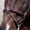 Uzdečka Dy'on Flash Noseband Bridle NEAAAA