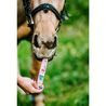 Pamlsky Candy Horse Tyčinky SPRING AND EASTER 6ks 375g