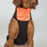 Deka na psa Back On Track BARK Visibility Suit