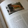 Publ McGreevy a kol. - Equitation science - Teorie učení a etický výcvik koní